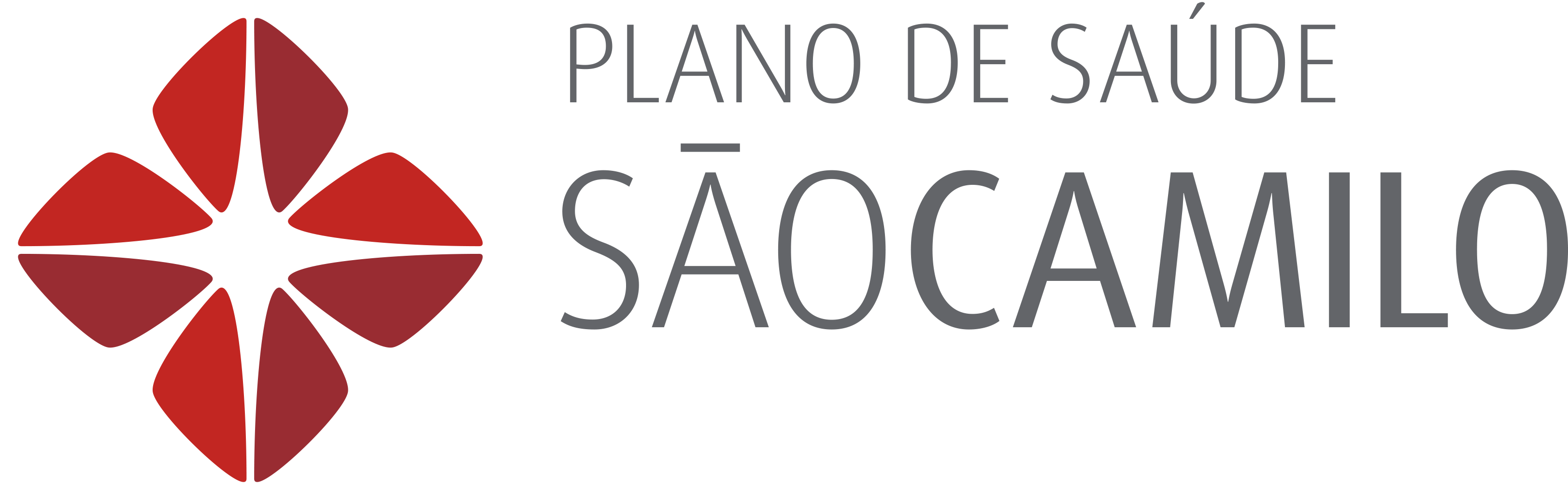 Logo PAS São Camilo